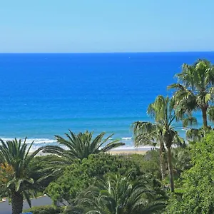 el-carino-de-la-playa.es-andalucia.com/